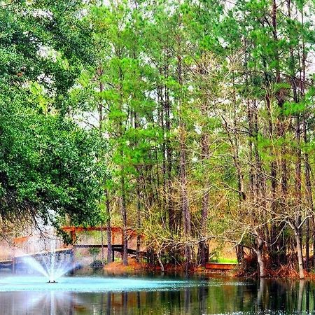 Waterfront Houston Hide Out In A Magical Forest Waller Eksteriør billede