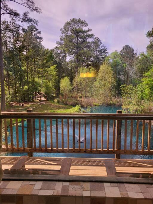 Waterfront Houston Hide Out In A Magical Forest Waller Eksteriør billede