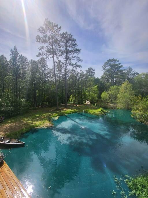 Waterfront Houston Hide Out In A Magical Forest Waller Eksteriør billede