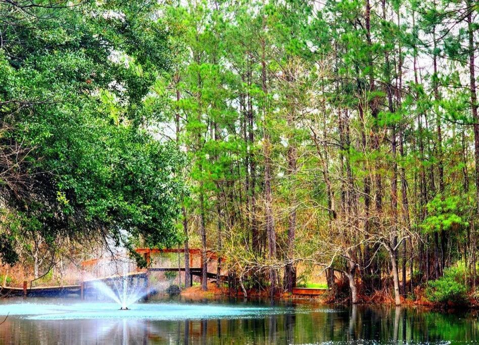Waterfront Houston Hide Out In A Magical Forest Waller Eksteriør billede