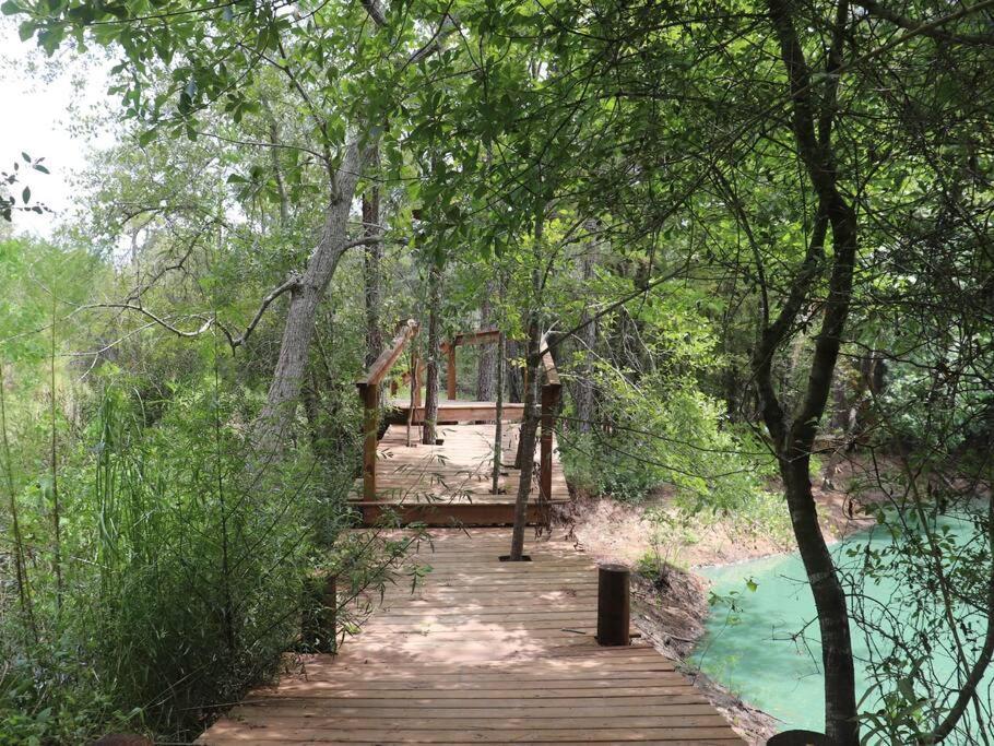 Waterfront Houston Hide Out In A Magical Forest Waller Eksteriør billede